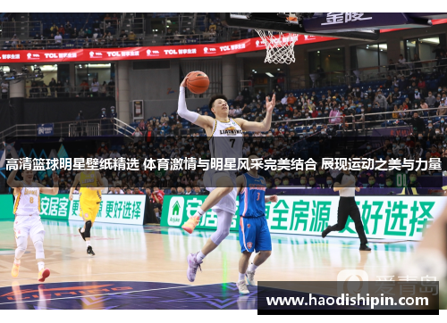 高清篮球明星壁纸精选 体育激情与明星风采完美结合 展现运动之美与力量