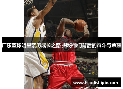 广东篮球明星亲历成长之路 揭秘他们背后的奋斗与荣耀